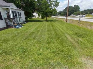 David F.'s Lawn Mowing Service service result