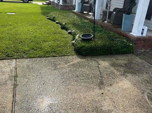 Bush Trimming by Terry Felo for Rosalia m. in Marrero, LA
