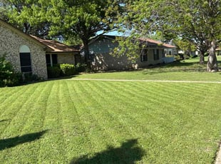 Donna R.'s Lawn Mowing Service service result