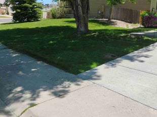 Paul Q.'s Lawn Service service result