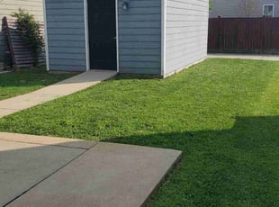Willie T.'s Yard Cutting service result