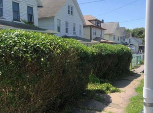 Bush Trimming by Allison Conley for Jessica H. in Scranton, PA