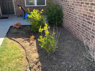 Weeding by Jeff Price for Russell G. in Broken Arrow, OK