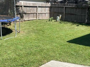 Kaki L.'s Lawn Mowing service result