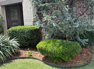Bush Trimming by Cesar Zuniga for Ellaine B. in Edmond, OK