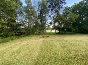 Adam W.'s Lawn Mowing service result