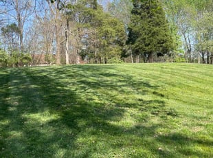 John a.'s Lawn Mowing service result