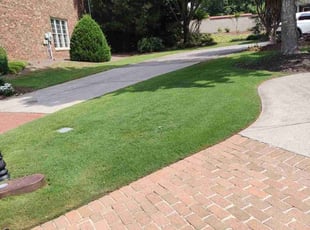 Vanessa W.'s Grass Cutting service result