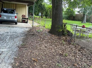 Cleanups by Santiago Rodriguez for Jess S. in Houston, TX