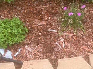 Weeding by Mekeila Morris for Reginald . in Zachary, LA