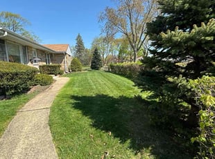 Johnny G.'s Lawn Care service result