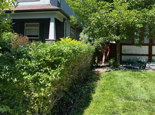 Cleanups by Jesse Nunez for Tawney L. in Denver, CO