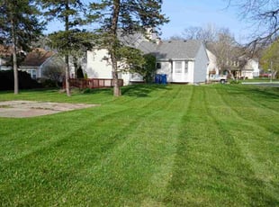 Thomas B.'s Lawn Mowing service result