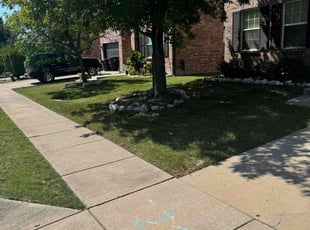 Dan E.'s Lawn Mowing service result
