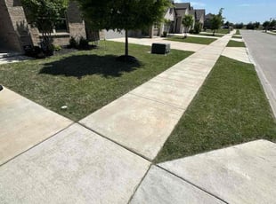 Cole B.'s Grass Cutting service result