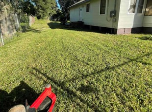 Guillermo G.'s Lawn Mowing service result