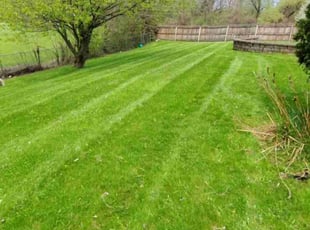 Gary S.'s Lawn Care service result