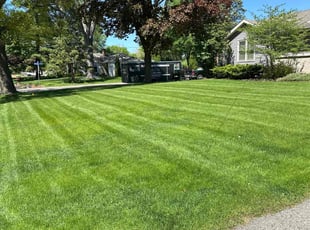 Jason L.'s Lawn Mowing Service service result