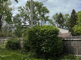Bush Trimming by Chase Wise for Mirelsa C. in Westerville, OH