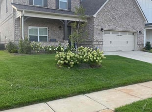 Sybil M.'s Lawn Mowing Service service result