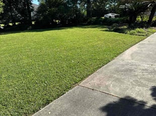 Tamla K.'s Lawn Care service result