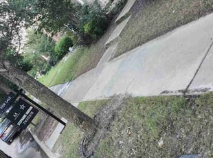 Leaf Removal by Ricardo Soto for Jordan L. in Aubrey, TX