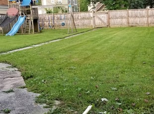 Cleanups by Benjamin Newkirk for Elyse J. in Baltimore, MD