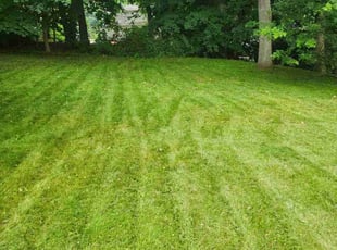 Debra P.'s Lawn Mowing Service service result