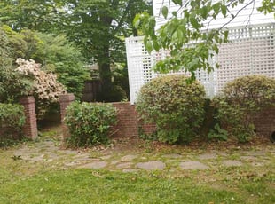Bush Trimming by Jimmy Craighead for Kathryn C. in Baltimore, MD