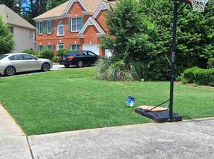 Dwalette S.'s Yard Cutting service result