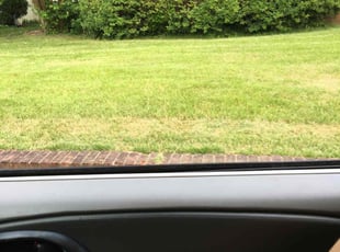 Bush Trimming by Terrence Barber for Marquell P. in Washington, DC