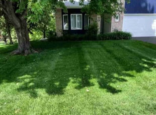 Mike Y.'s Lawn Care service result