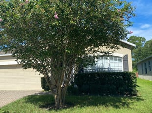 Cleanups by Josh Larew for Austin B. in Orlando, FL