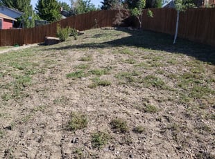 Cleanups by Carlos Mendoza for Lonnette H. in Aurora, CO