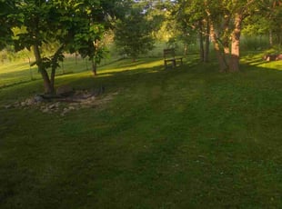 Nathaniel D.'s Lawn Mowing service result