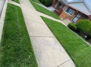 Troy F.'s Lawn Care service result