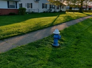 Melanie K.'s Yard Cutting service result