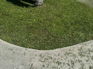 Henry W.'s Lawn Care service result