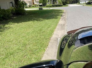 Landscaping by Terry Lampo for Glennda M. in Leesburg, FL