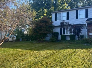 Jose O.'s Lawn Service service result