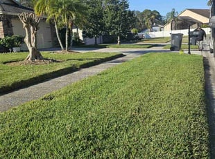 Yvette W.'s Lawn Maintenance service result