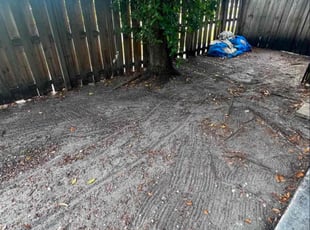 Leaf Removal by Anna Day for Jane d. in Visalia, CA