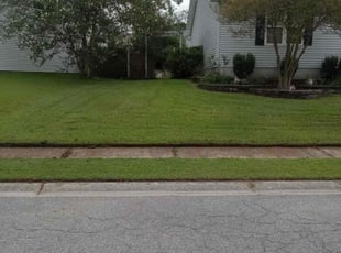 Sean H.'s Yard Cutting service result