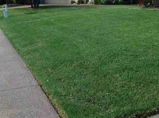 Maryann N.'s Lawn Maintenance service result