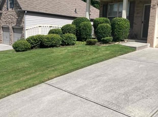 Melissa P.'s Lawn Service service result