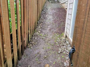 Cleanups by Jeffrey Preece for Akanksha G. in Tigard, OR