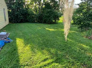 Des P.'s Yard Cutting service result