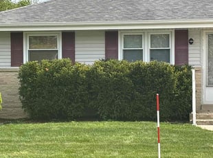 Bush Trimming by Anthony Rieck for Linda R. in Menomonee Falls, WI