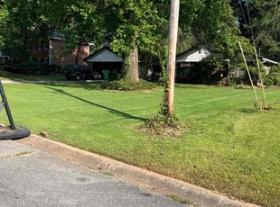 Bush Trimming by Matthew Veal for Morgan Q. in Lilburn, GA
