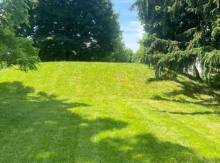 Bob b.'s Lawn Maintenance service result